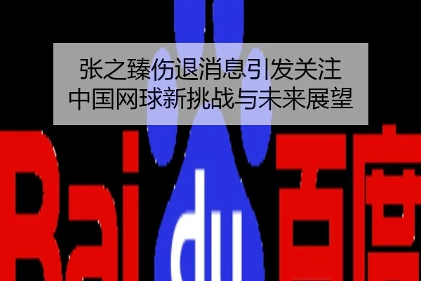 张之臻伤退消息引发关注 中国网球新挑战与未来展望